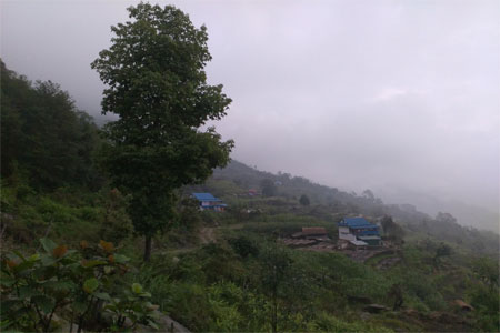 Agricultural Trip in Nepal 