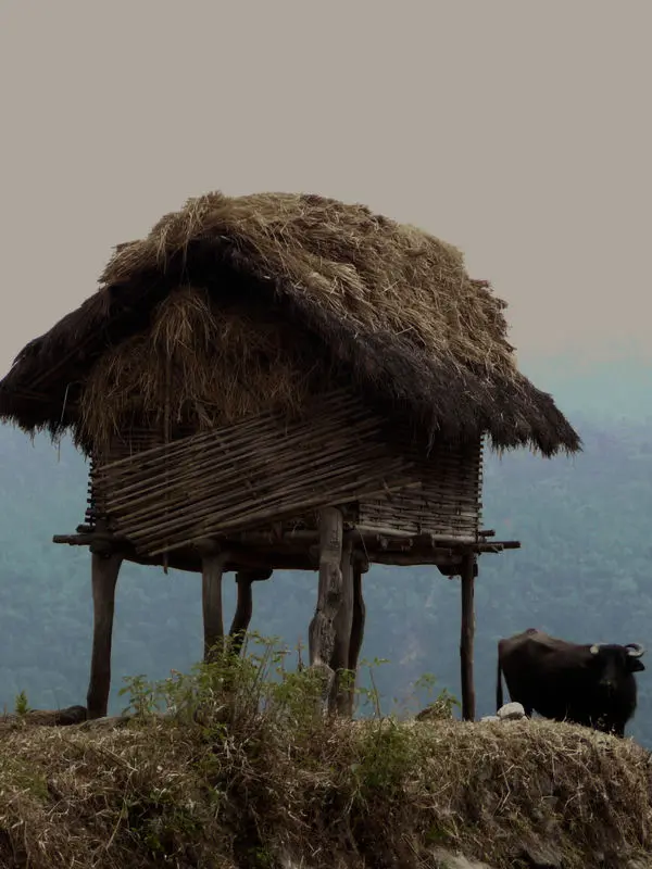 Makalu Region Trekking