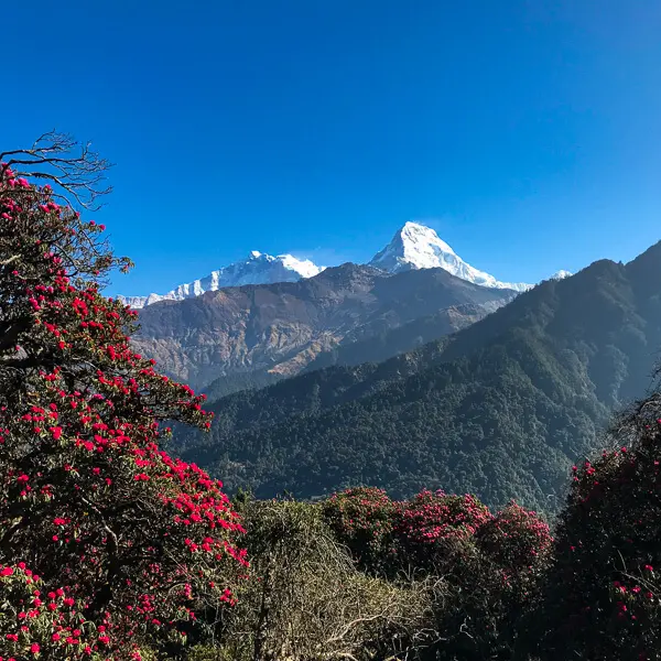 Annapurna Region Trekking