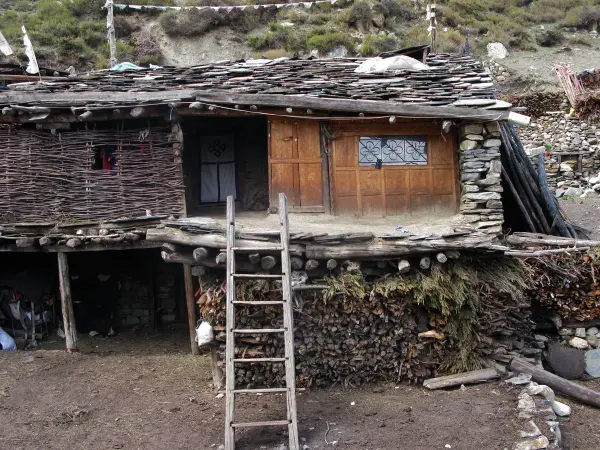 Img 2268 Web