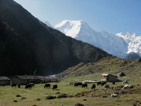 Manaslu Valley Web